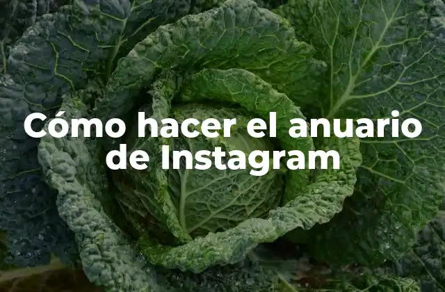 Cómo Hacer el Anuario de Instagram 2 ¿Qué es un anuario de Instagram y para qué sirve?