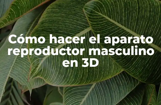 Cómo Hacer el Aparato Reproductor Masculino en 3d