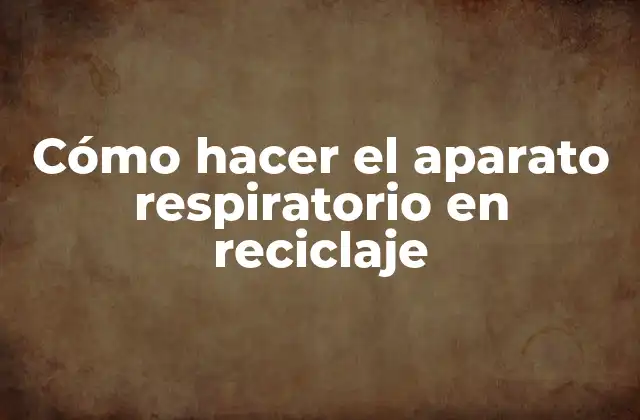 Cómo Hacer el Aparato Respiratorio en Reciclaje
