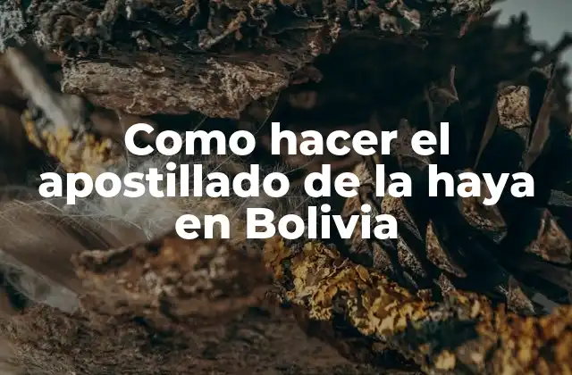 Como Hacer el Apostillado de la Haya en Bolivia