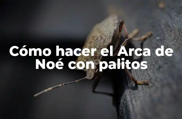 Cómo Hacer el Arca de Noé con Palitos