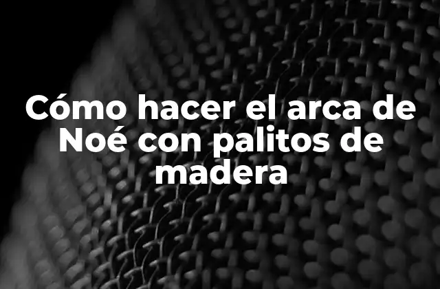 El arca de Noé con palitos de madera