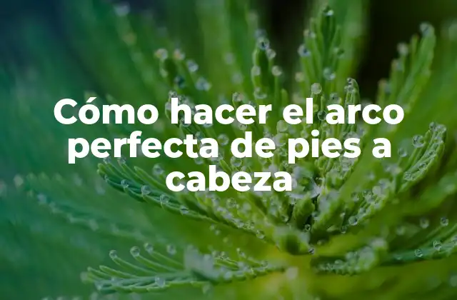 Cómo Hacer el Arco Perfecta de Pies a Cabeza 2 ¿Qué es el arco perfecta de pies a cabeza?