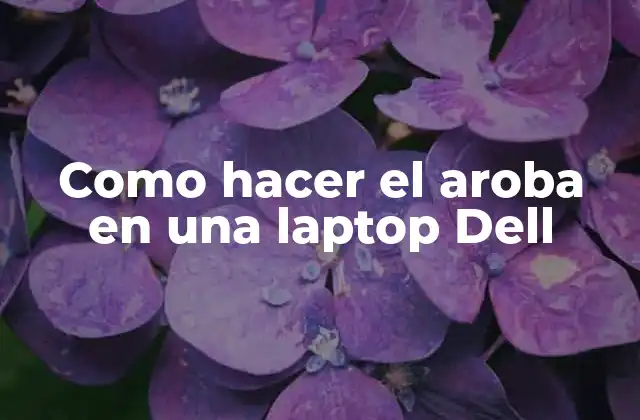 Como Hacer el Aroba en una Laptop Dell