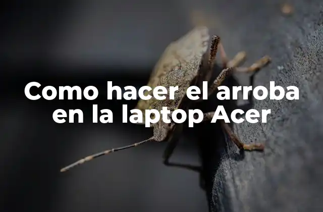 Como Hacer el Arroba en la Laptop Acer