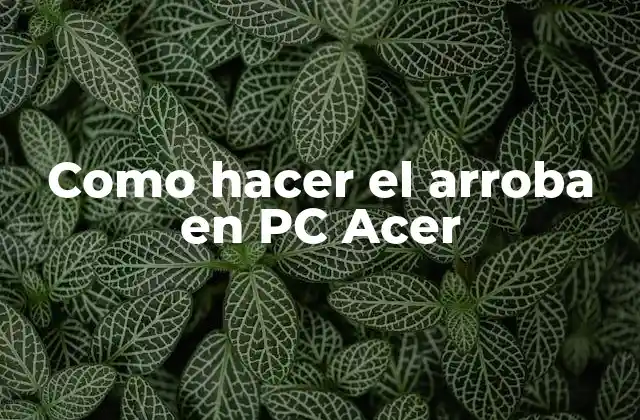 Como Hacer el Arroba en Pc Acer