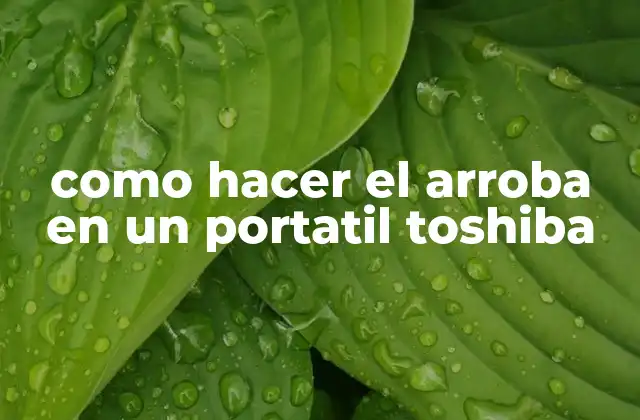Como Hacer el Arroba en un Portatil Toshiba