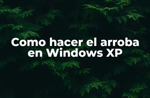 Como Hacer el Arroba en Windows Xp