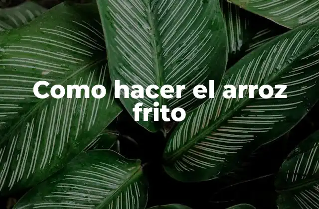 Como Hacer el Arroz Frito 2 ¿Qué es el arroz frito?