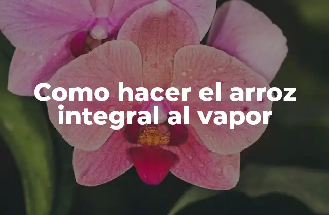 Como Hacer el Arroz Integral Al Vapor