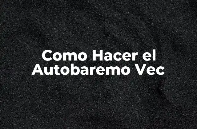 Como Hacer el Autobaremo Vec