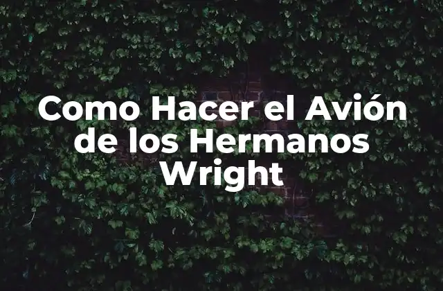 Como Hacer el Avión de los Hermanos Wright