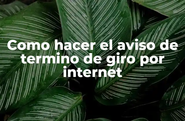 Como Hacer el Aviso de Termino de Giro por Internet