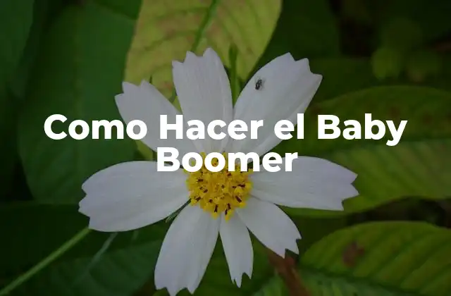 Como Hacer el Baby Boomer