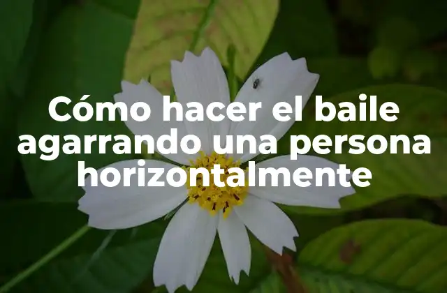 Cómo Hacer el Baile Agarrando una Persona Horizontalmente