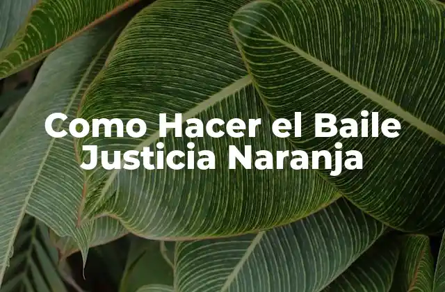 Como Hacer el Baile Justicia Naranja