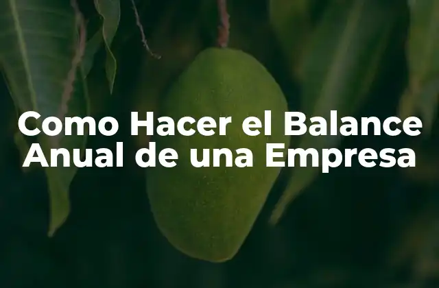 Como Hacer el Balance Anual de una Empresa