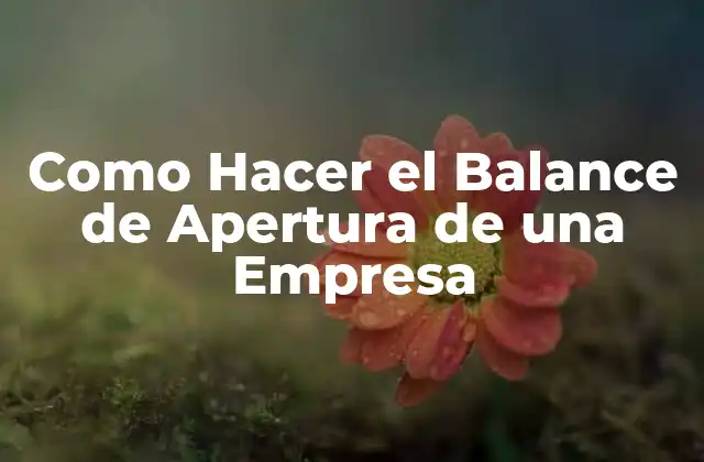 Como Hacer el Balance de Apertura de una Empresa