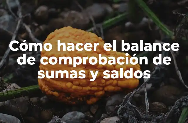 Cómo Hacer el Balance de Comprobación de Sumas y Saldos