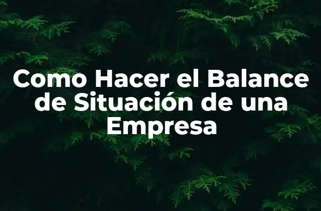Como Hacer el Balance de Situación de una Empresa