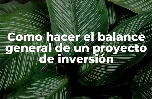 Como Hacer el Balance General de un Proyecto de Inversión