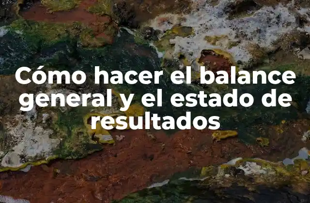 Cómo Hacer el Balance General y el Estado de Resultados