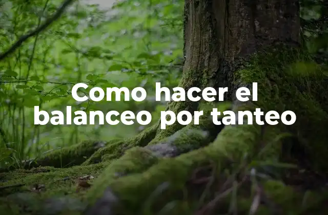 Como Hacer el Balanceo por Tanteo
