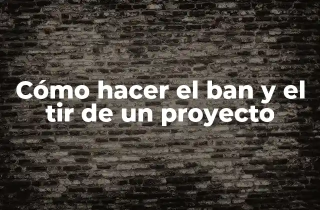 Cómo Hacer el Ban y el Tir de un Proyecto