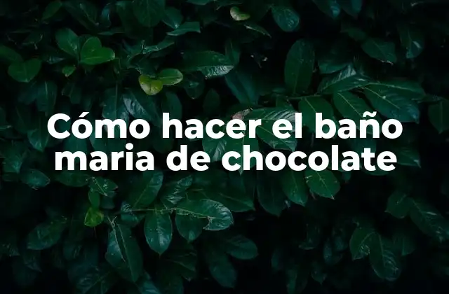 Cómo Hacer el Baño Maria de Chocolate