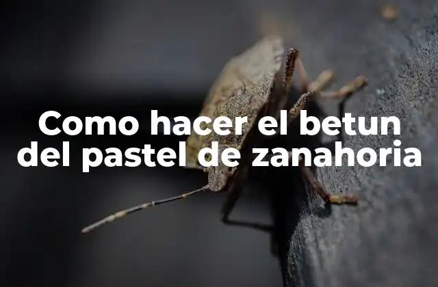 Como Hacer el Betun Del Pastel de Zanahoria