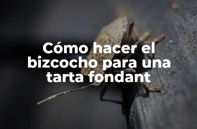 Cómo Hacer el Bizcocho para una Tarta Fondant