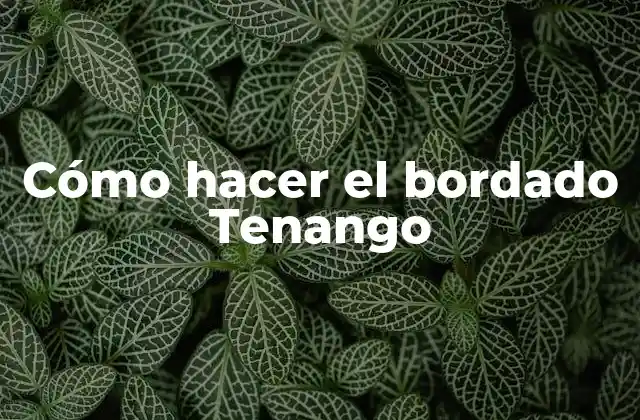 Cómo Hacer el Bordado Tenango