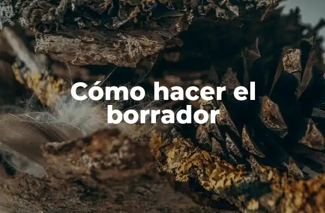 Cómo Hacer el Borrador