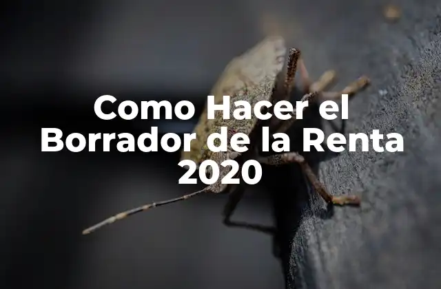 ¿Qué es el Borrador de la Renta 2020?