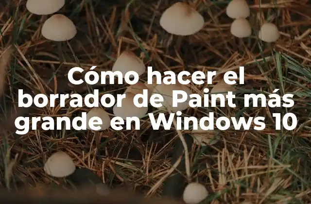 Cómo Hacer el Borrador de Paint Más Grande en Windows 10 2 El borrador de Paint