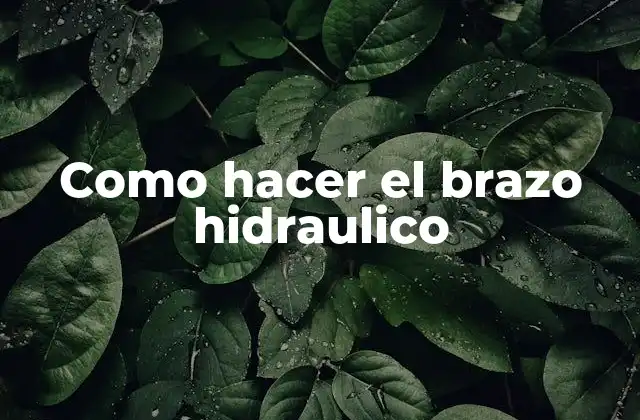 Como Hacer el Brazo Hidraulico