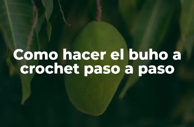 Como Hacer el Buho a Crochet Paso a Paso 2 Que es crochet y cómo funciona