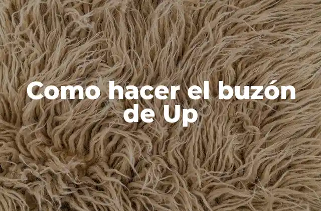 Como Hacer el Buzón de Up 2 El buzón de Up