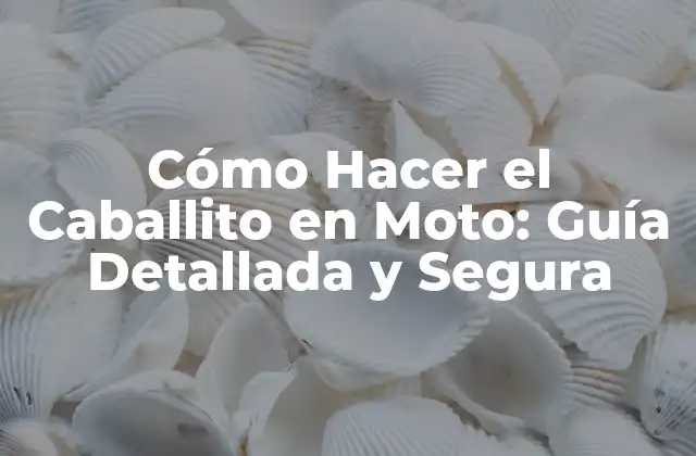 Cómo Hacer el Caballito en Moto: Guía Detallada y Segura