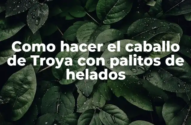 Como Hacer el Caballo de Troya con Palitos de Helados