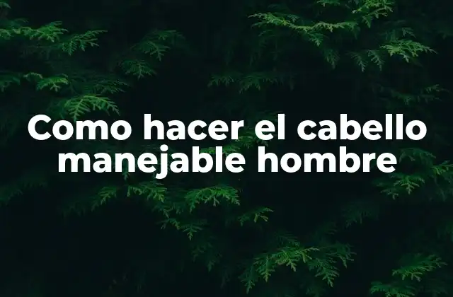 Como Hacer el Cabello Manejable Hombre