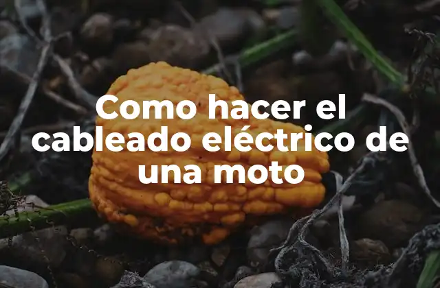 Como Hacer el Cableado Eléctrico de una Moto