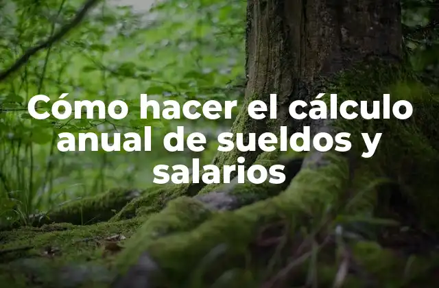 Cómo Hacer el Cálculo Anual de Sueldos y Salarios