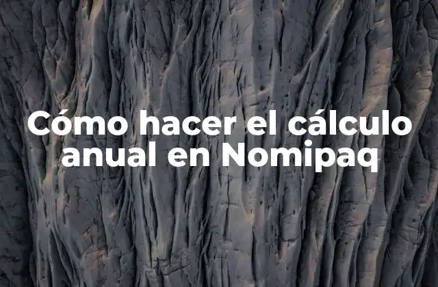 Cómo Hacer el Cálculo Anual en Nomipaq