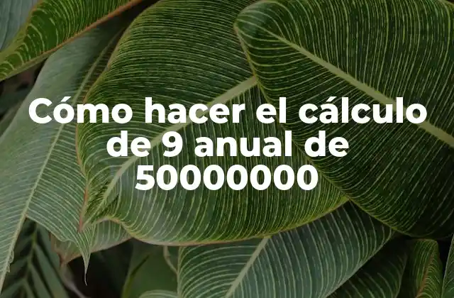 Cómo Hacer el Cálculo de 9 Anual de 50000000