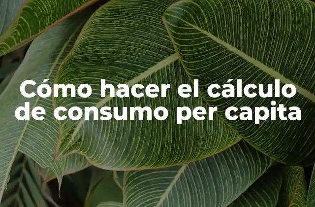 Cómo Hacer el Cálculo de Consumo Per Capita