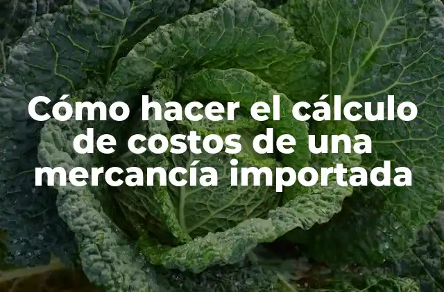 Cómo Hacer el Cálculo de Costos de una Mercancía Importada