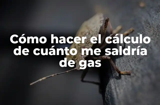 Cómo Hacer el Cálculo de Cuánto Me Saldría de Gas