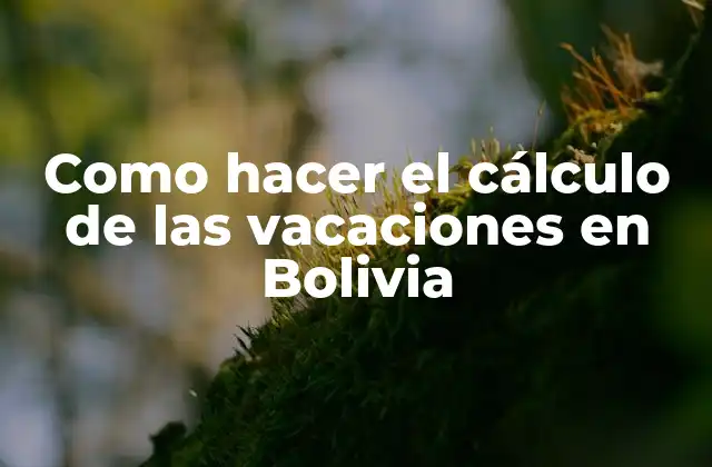 Como Hacer el Cálculo de las Vacaciones en Bolivia