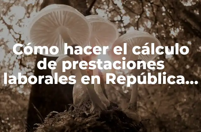 Cómo Hacer el Cálculo de Prestaciones Laborales en República Dominicana